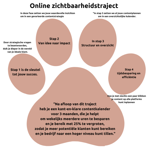 Online zichtbaarheidstraject E-like